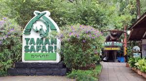 Taman Safari Indonesia Jadi Destinasi Favorit Liburan Sekolah 2025