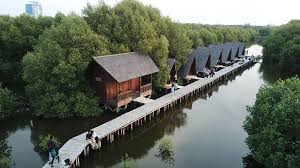 Ekowisata Mangrove 2025: Destinasi Hijau untuk Liburan Ramah Lingkungan