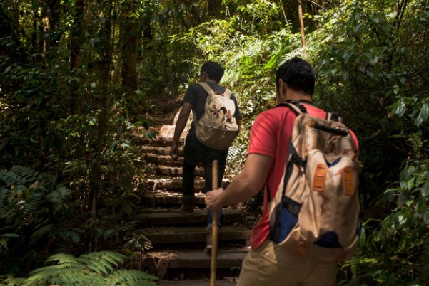 Eksplorasi Wisata Alam Nusantara 2025: Tren Ekowisata dan Petualangan Berkelanjutan yang Sedang Naik Daun